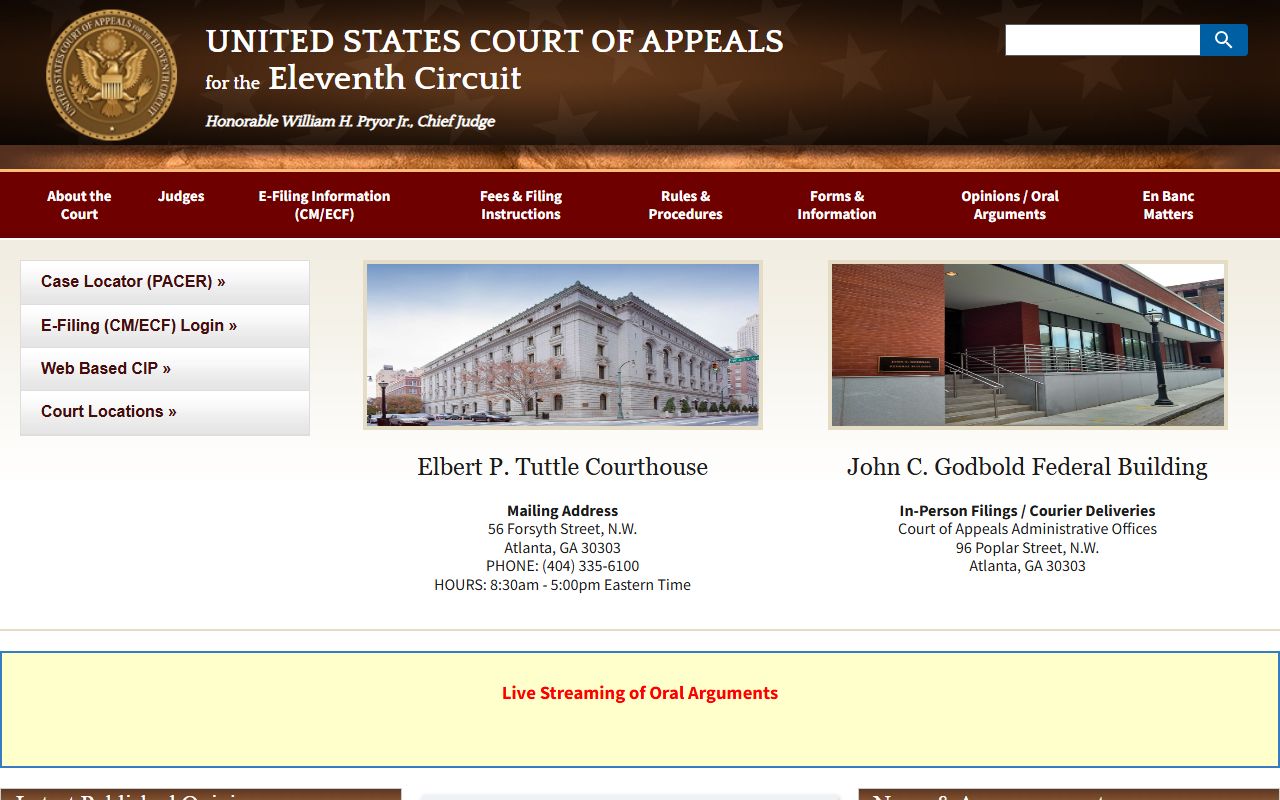 Wayne County criminal court records Eleventh Circuit appeals