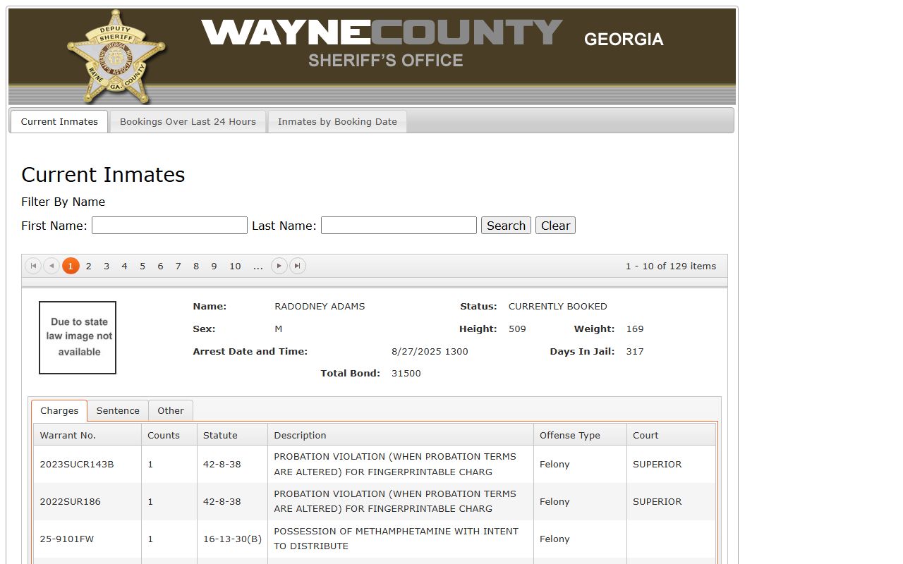Wayne County inmate records portal