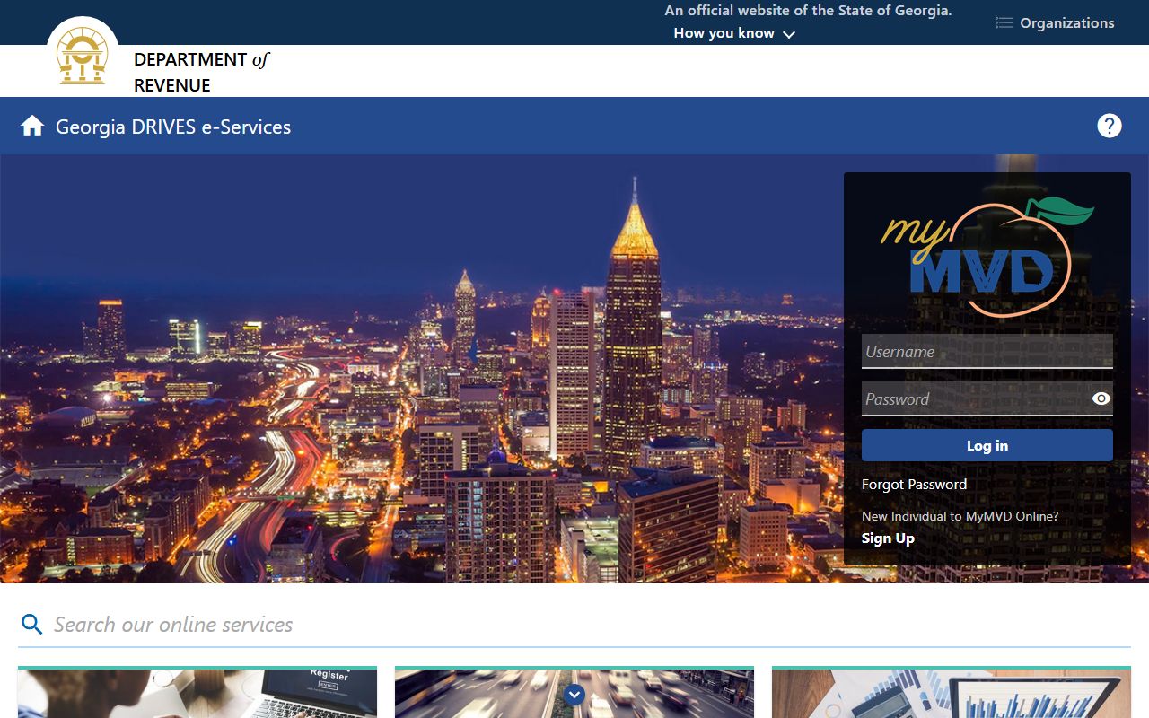 Wayne County traffic court records Georgia DDS e-services